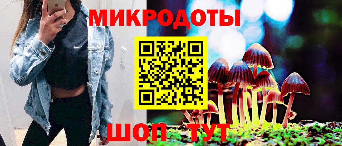 Галлюциногенные грибы GOLDEN TEACHER  Псилоцибиновые грибы Psilocybe  Вход с VPN  Заводоуковск 