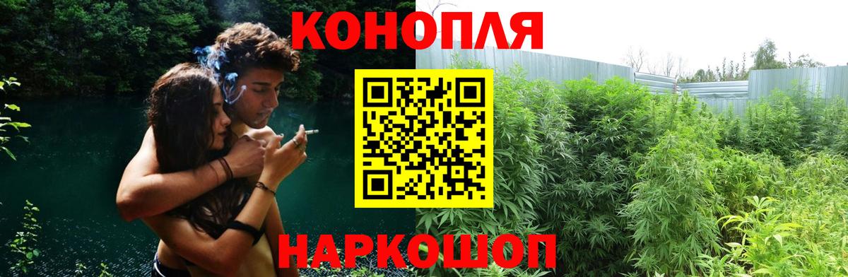 Конопля марихуана Заводоуковск